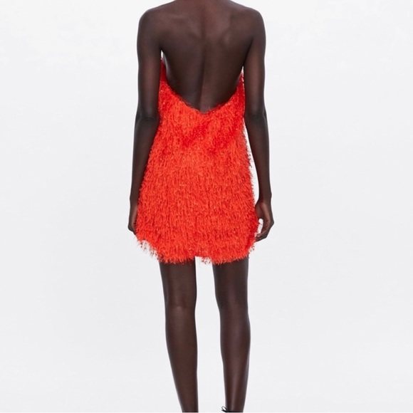 Zara Fringe Halter Blogger Favorite Mini Dress - Picture 11 of 16